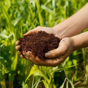Organic Fertilizers