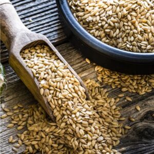 Seeds
